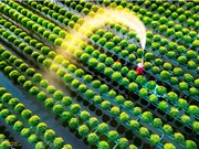 Phát triển giá thể công nghiệp cho làng hoa Sa Đéc 